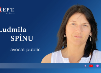 #7 Who Are the Public Lawyers and What Do They Do?