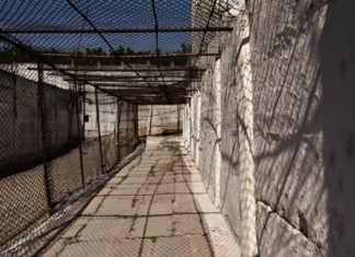 Studiu: Cum au fost pedepsite faptele de tortură și rele tratamente în ultimul deceniu?